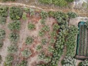 Almyrida Kreta, Almyrida: Grundstück mit Baurechten und Meerblick zu verkaufen Grundstück kaufen